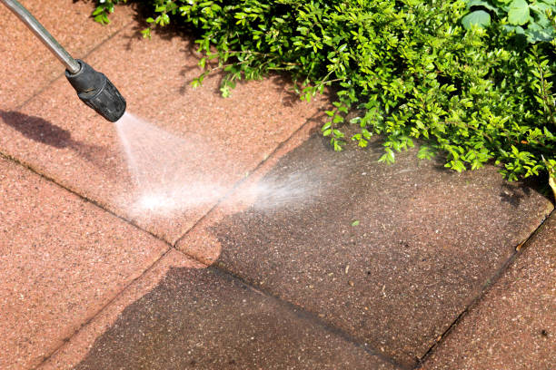 Best House Pressure Washing  in Line Acres, MO